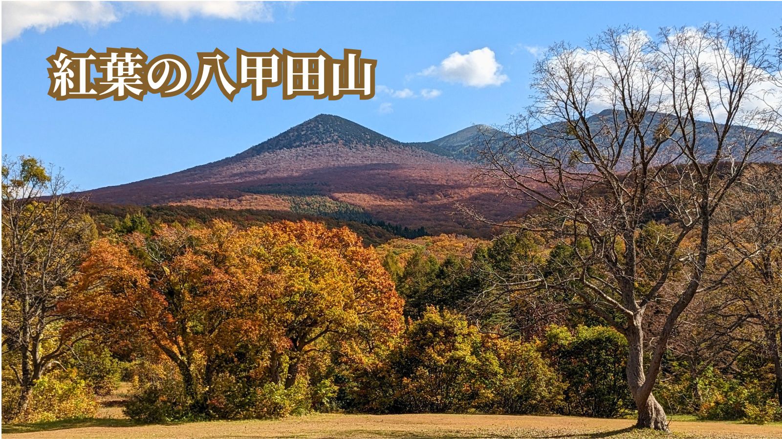 青森2泊3日の旅｜1日目八甲田山の紅葉
