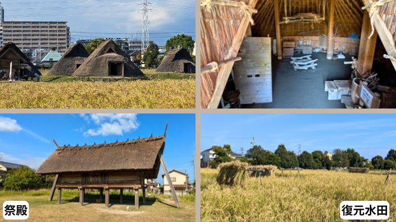 登呂遺跡復元住居