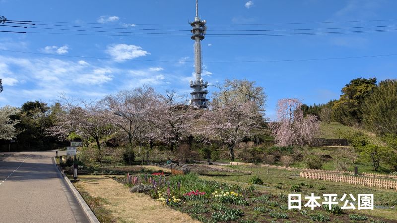 日本平公園