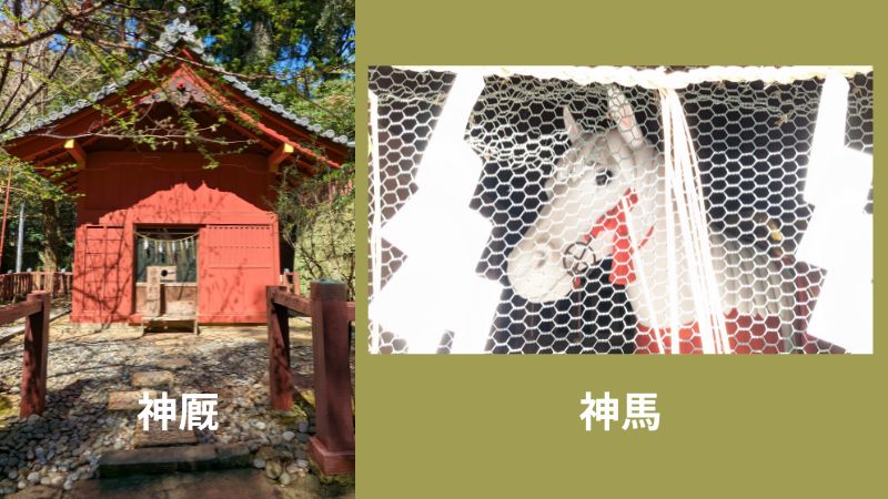 神厩(しんきゅう)