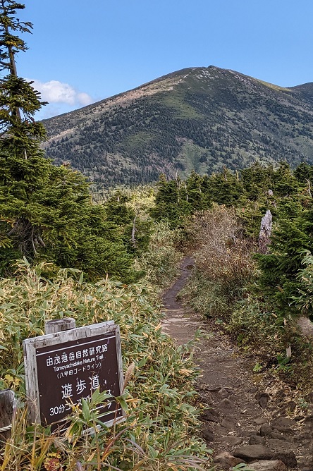 八甲田ゴードライン入口