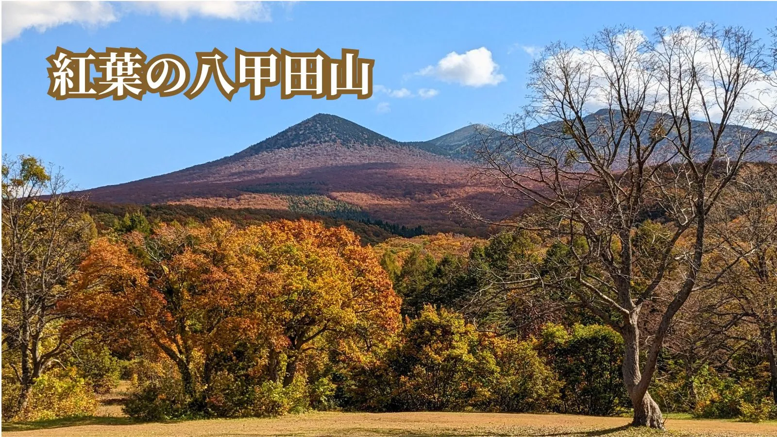 紅葉の八甲田山