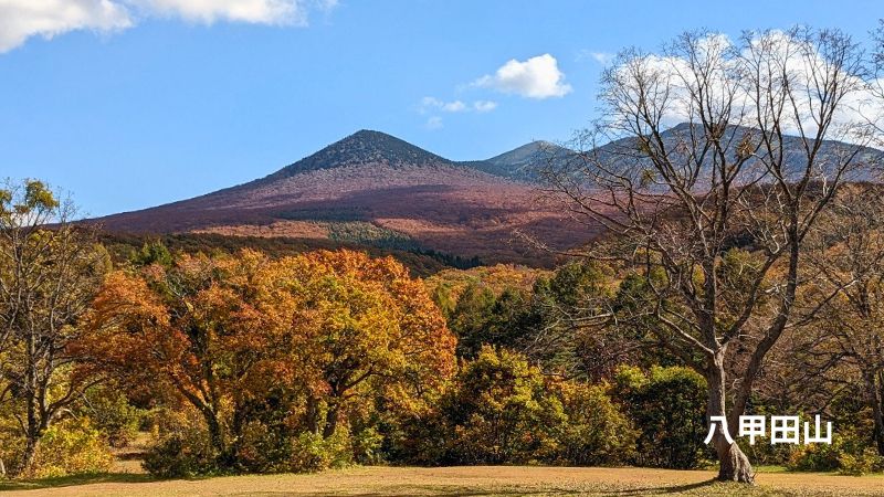 八甲田山全景