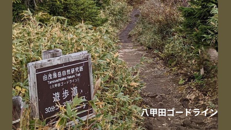 八甲田ゴードライン入口