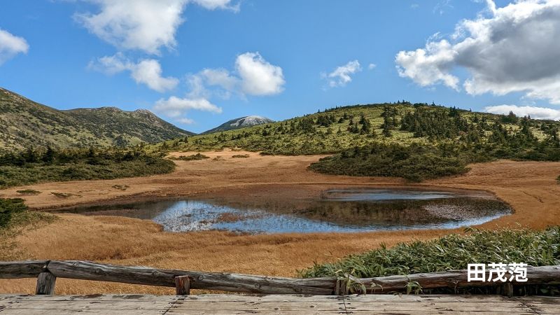 田茂萢湿原から見た北八甲田連峰