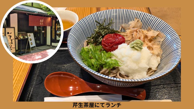 梅おろしそば