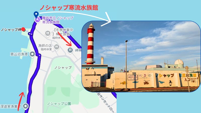 ノシャップ寒流水族館