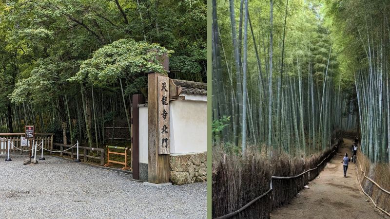 天龍寺北門から竹林の小径へ