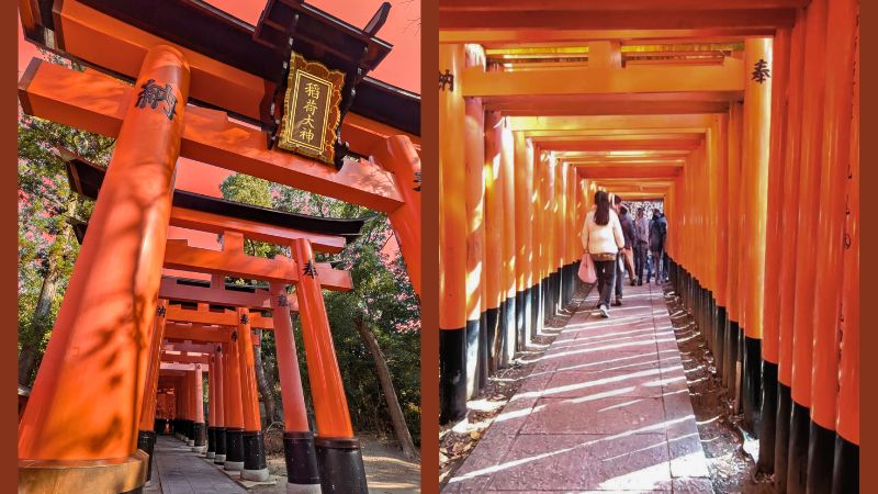 京都観光名所 伏見稲荷大社千本鳥居