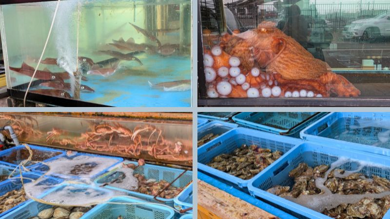 北海道の海産物が並ぶ鮮魚店