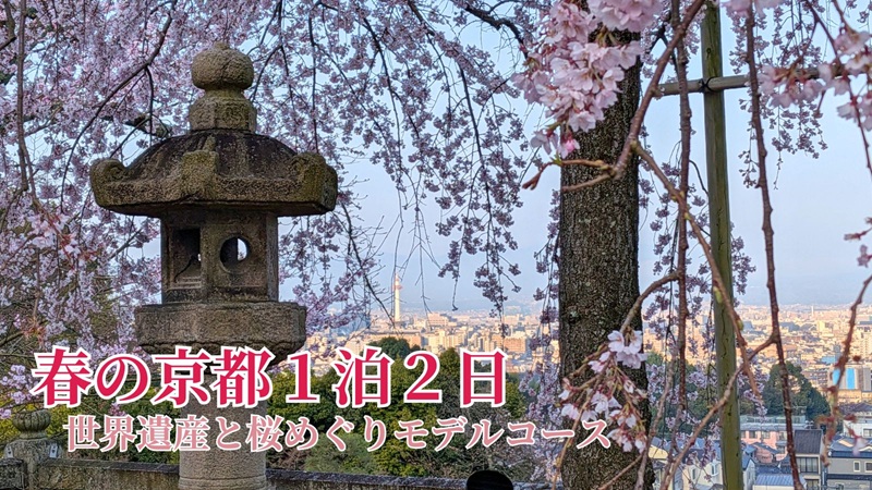 桜と世界遺産をめぐる春の京都1泊2日モデルコース 