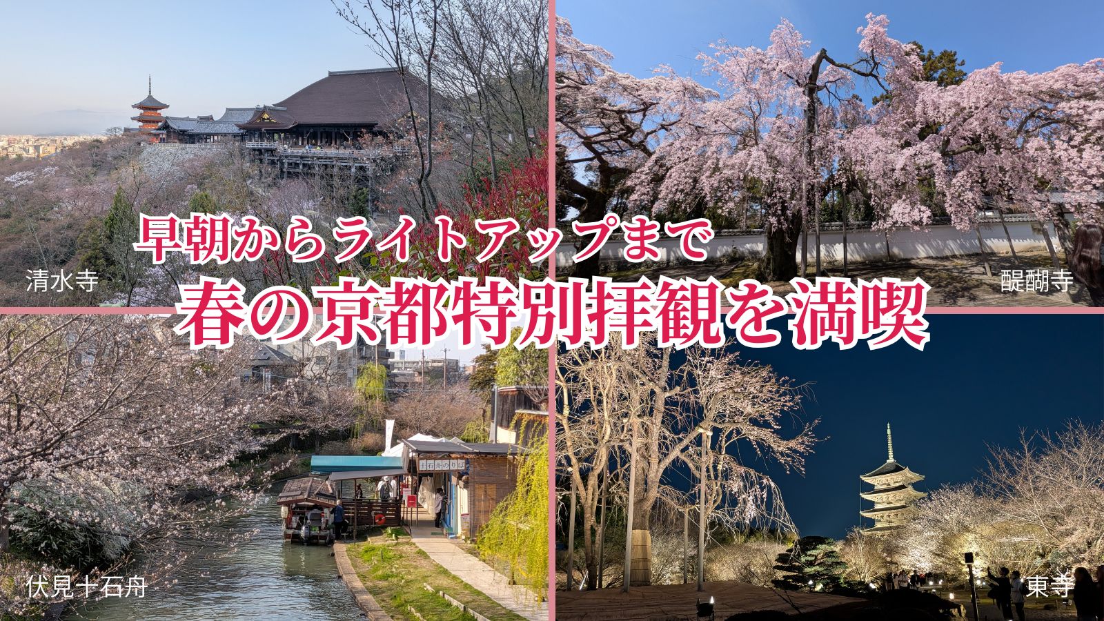 春の京都1泊2日の旅｜2日目春の特別公開・特別拝観を満喫
