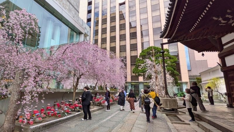 お地蔵さんと桜