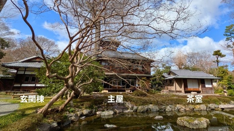 庭からの眺め