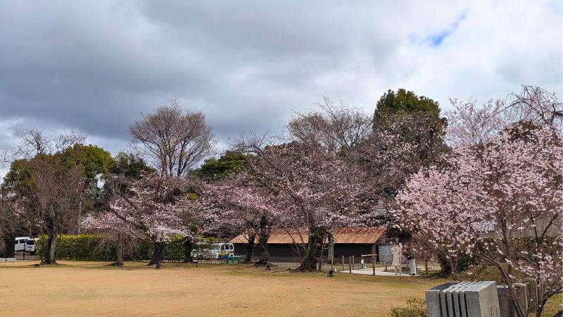 緑の園