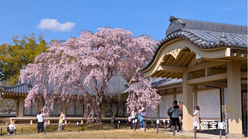 霊宝館