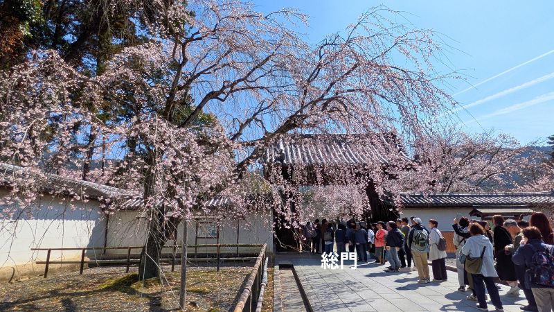 醍醐寺総門