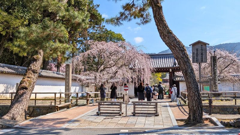 醍醐寺総門