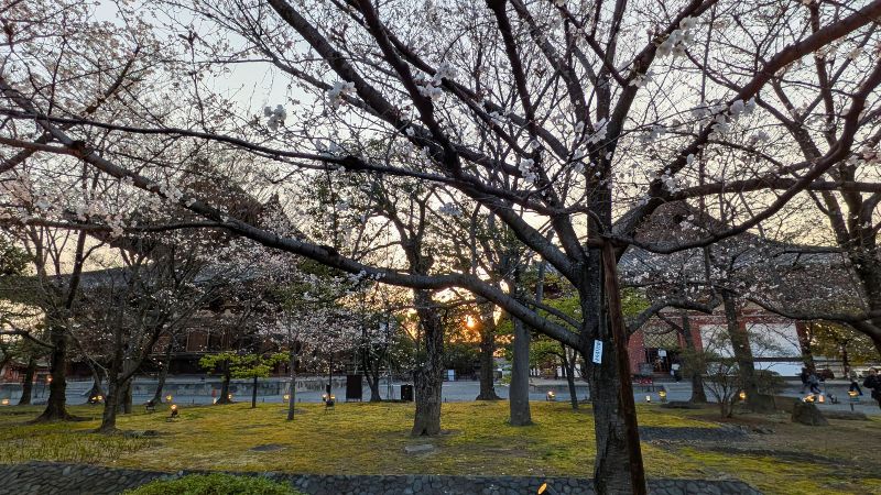 夕暮れの金堂・講堂