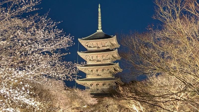 五重塔ライトアップ