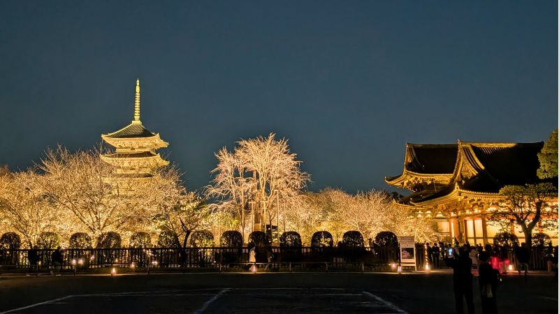 東寺ライトアップ全景