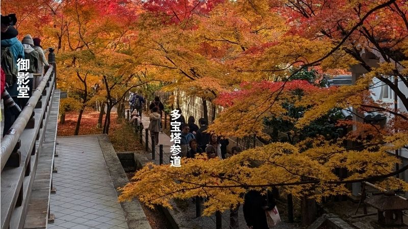 多宝塔参道