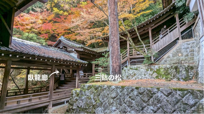 釈迦堂から御影堂へ