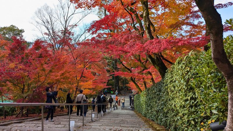 諸堂から庭園へ