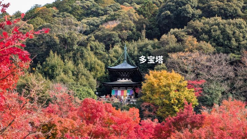 多宝塔