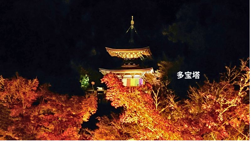 多宝塔ライトアップ