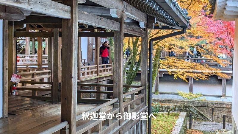 釈迦堂から御影堂へ