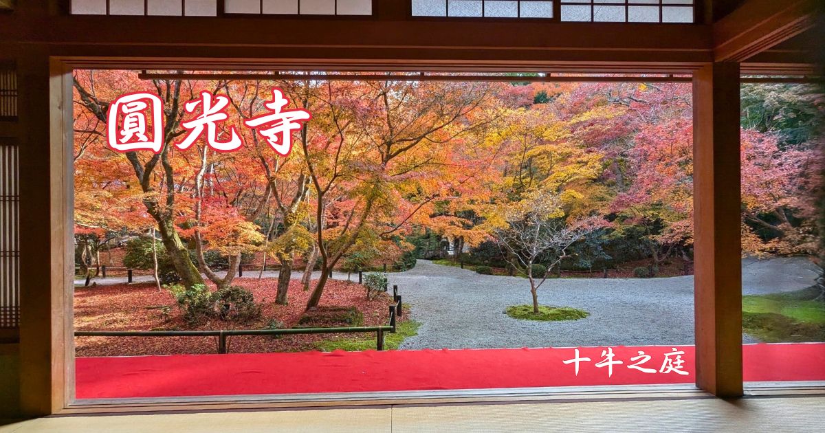 圓光寺 紅葉特別拝観