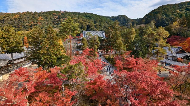 三門から境内を望む