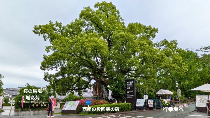 行幸坂へ