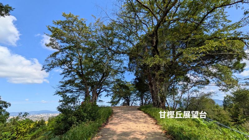 甘樫丘（あまかしのおか）展望台