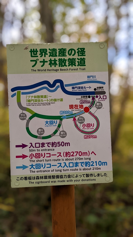 ブナ林散策道地図