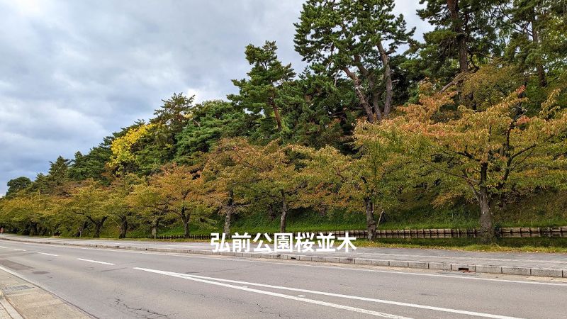 弘前公園外側の桜並木